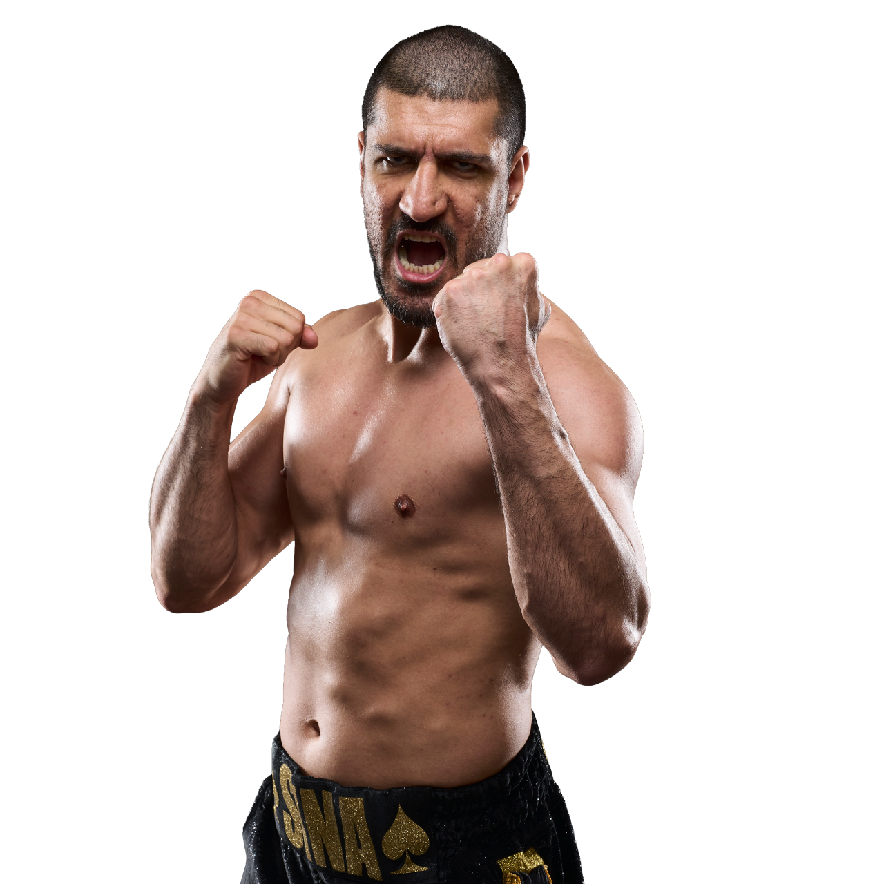 Sina Karimian
